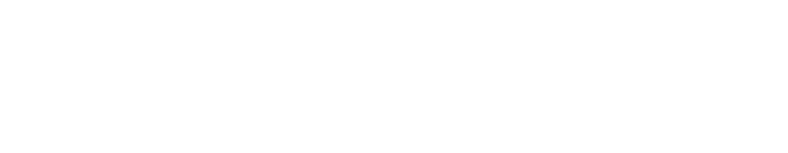 KG_Corp_Logo_RGB_WT.png